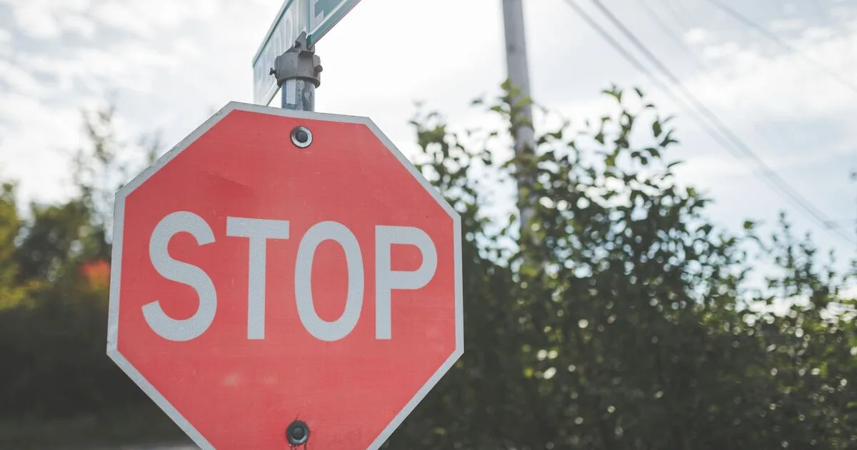 Google Ads Account Suspended? Here Is Exactly What to Do